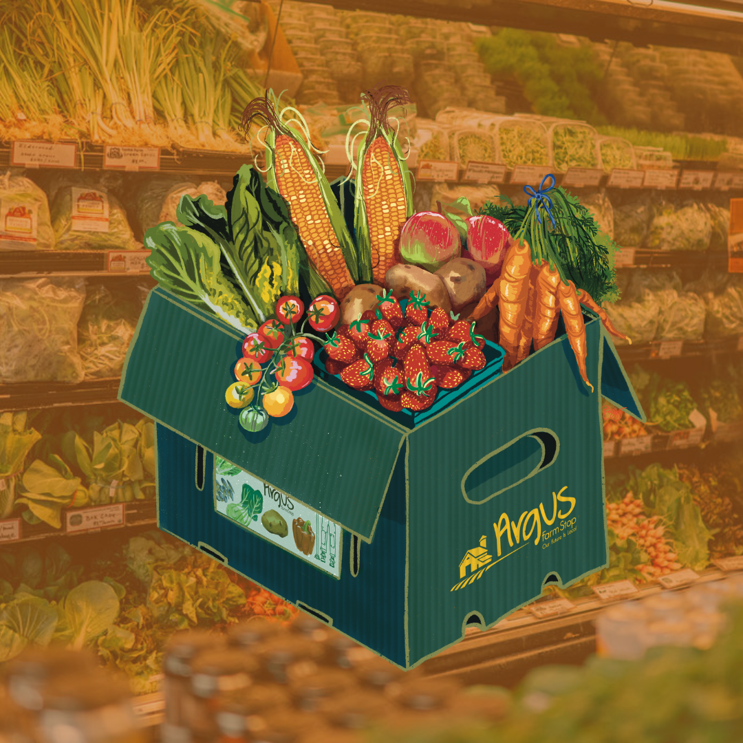 EBT Thanksgiving Produce Box – Argus Farm Stop